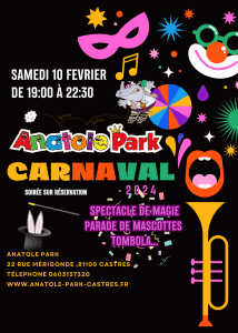 colorful playful carnival poster (2)